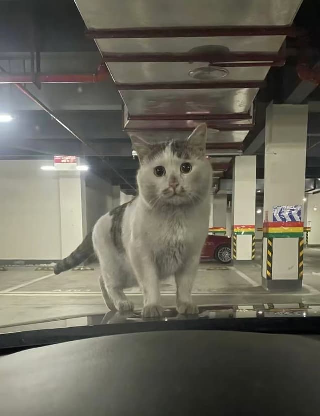 Between the Glass and the Warmth
