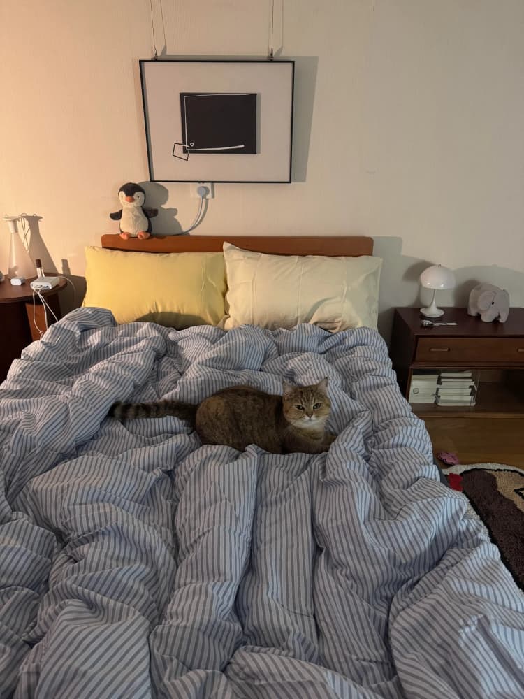 I told him it was just right for two.