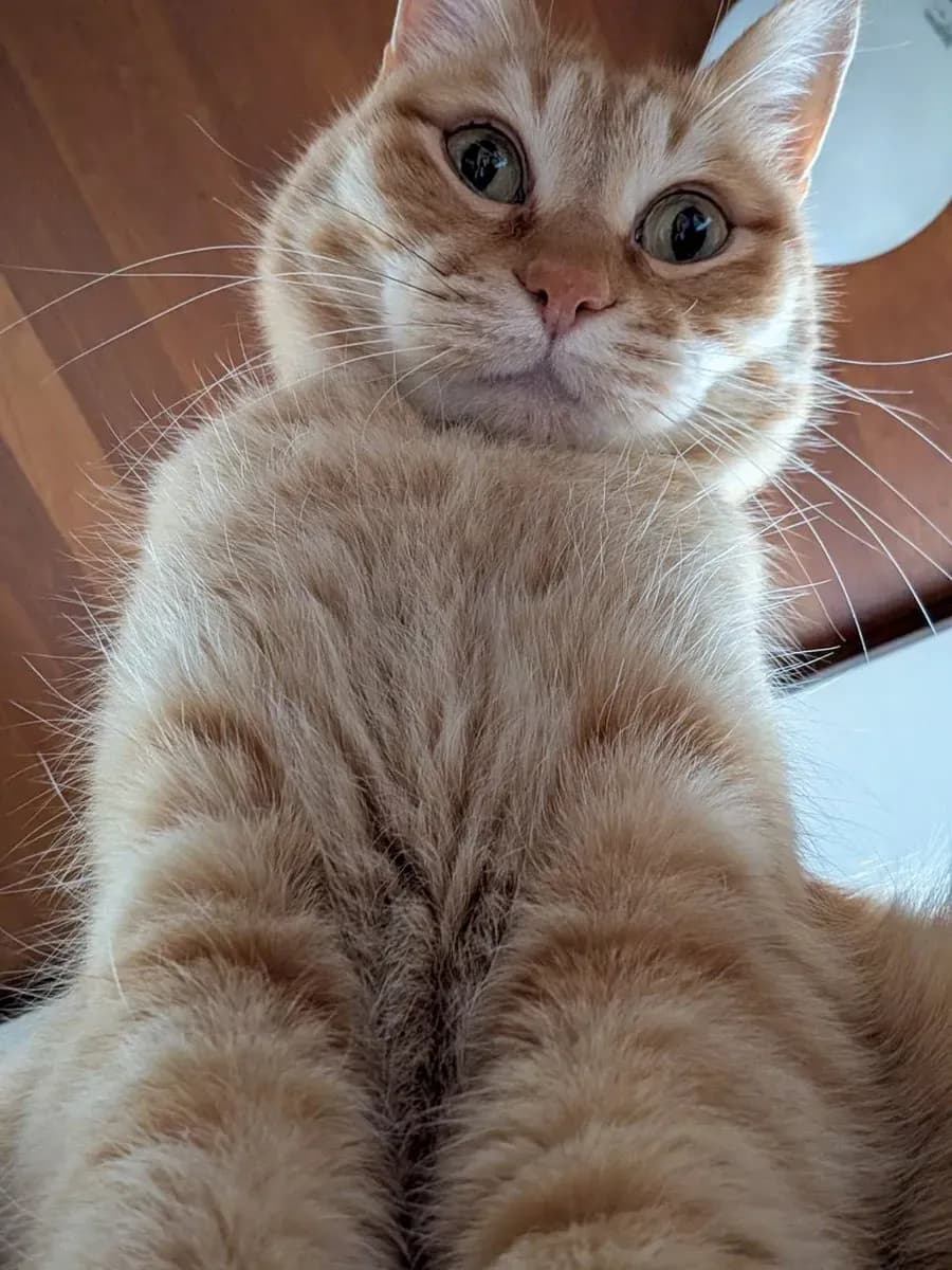 I sat on the floor with the laptop open.