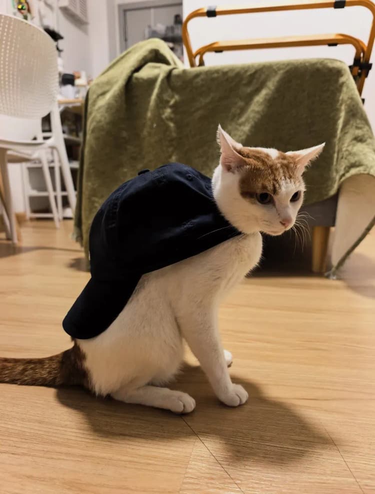 The navy cap sits heavy on his shoulders.